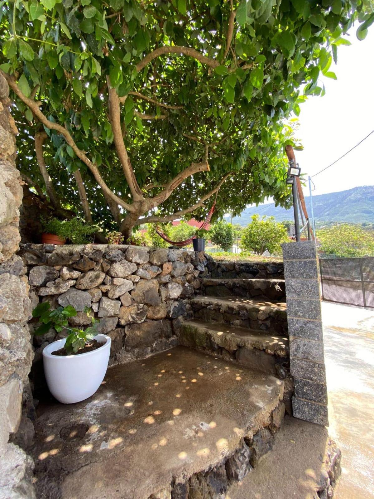 Villa Perejil Realejo Alto Esterno foto